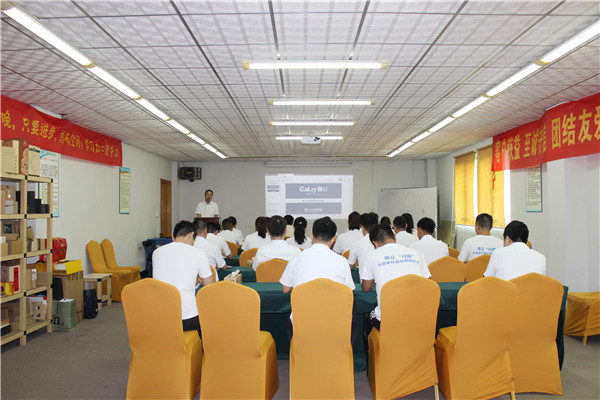 伽立集團(tuán)銷售會(huì) 伽立集團(tuán)銷售會(huì)